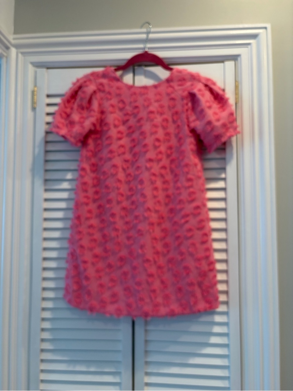Zara Girls Size 10 NWT Textured Pink Puff Sleeve Dress